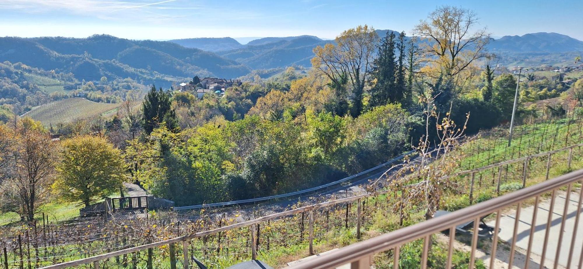 Bauernhof La Pina Tarzo